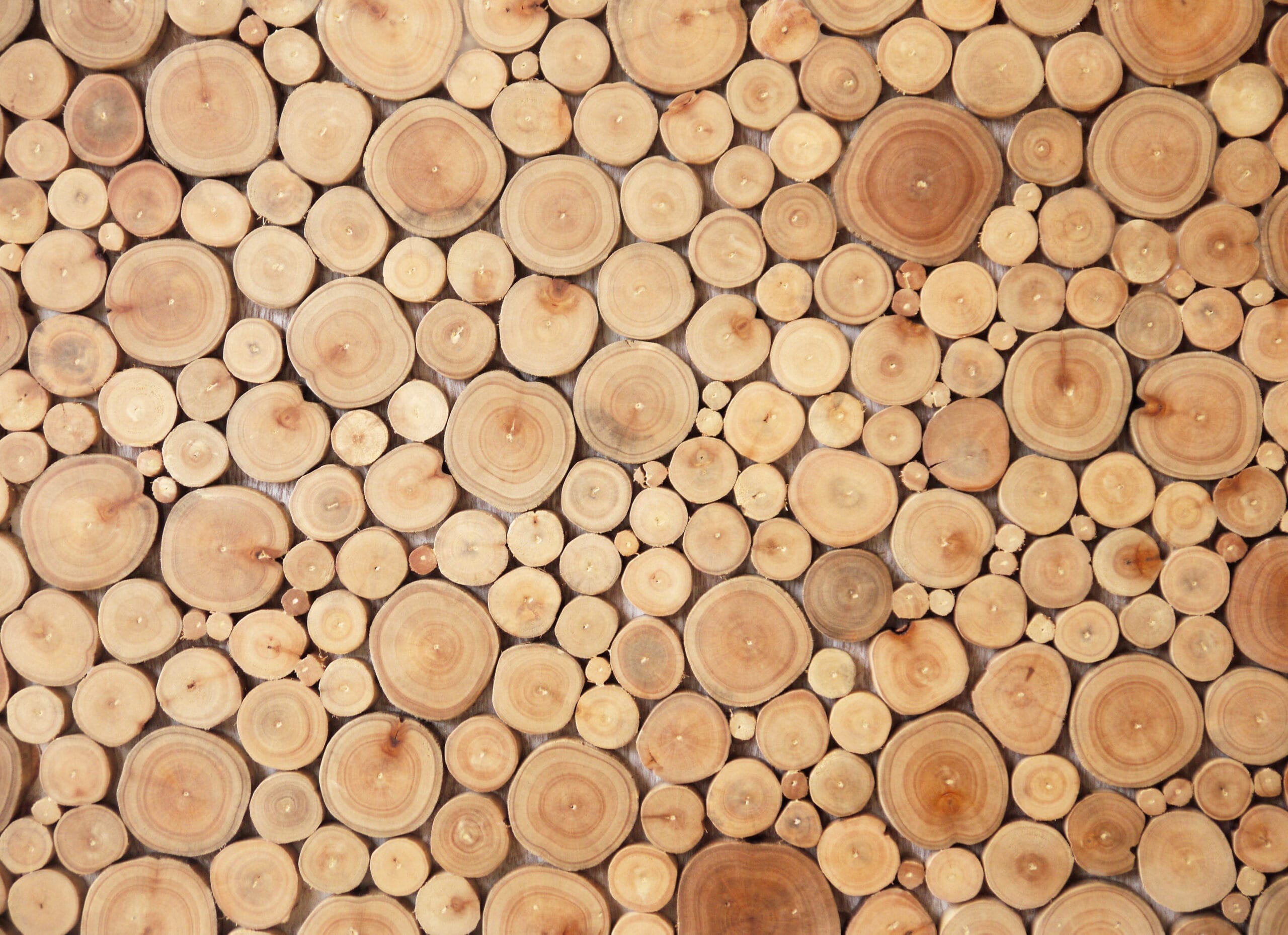 Timber, Mass Timber